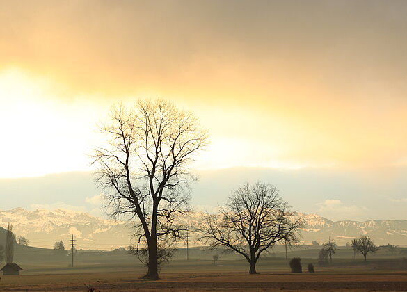 Diese Morgenstimmung fasziniert