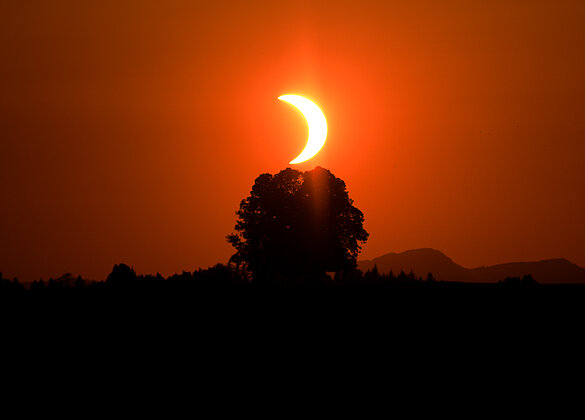 Sonnenfinsternis über der Honig Linde Willisau