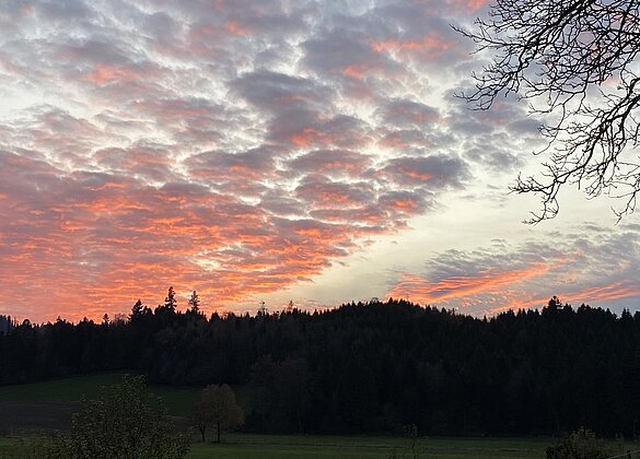 Rote Schäfchenwolken über dem Wüschiswiler Wald