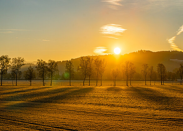 Sonnenaufgang im Wauwilermoos!