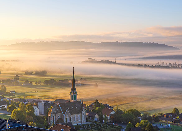 Eine reizvolle Nebelstimmung über dem Wauwilermoos