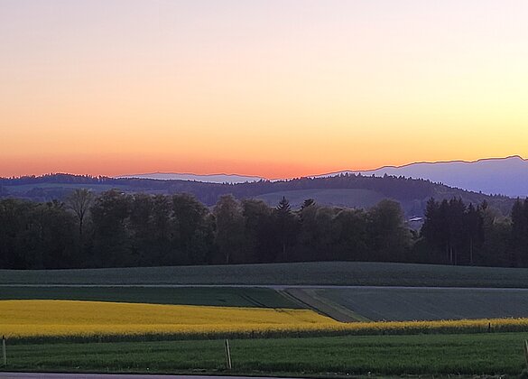 Blick Richtung Jura im glühenden Sonnenuntergang
