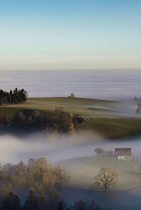 Über den Wolken muss das Leben wohl grenzenlos sein