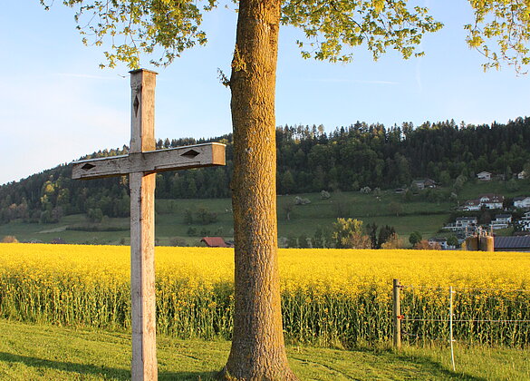 Morgenstimmung beim Chrüzacher