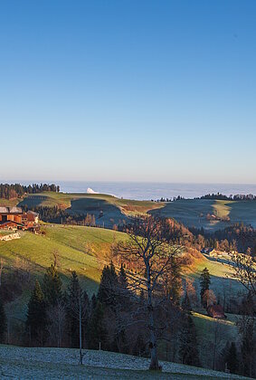 Menzberg im Licht der aufgehenden Sonne