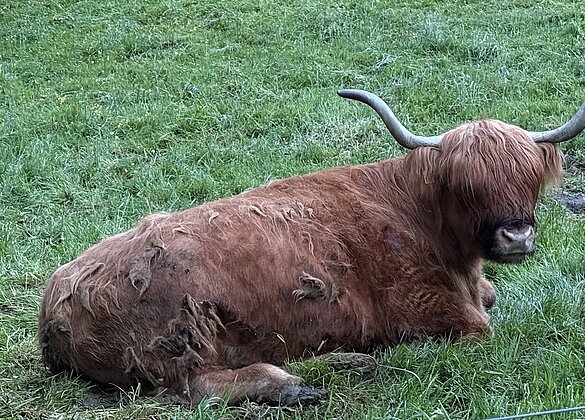 Morgens, am aufwachen ….