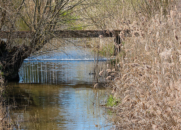 Farbenspiel an der Ron