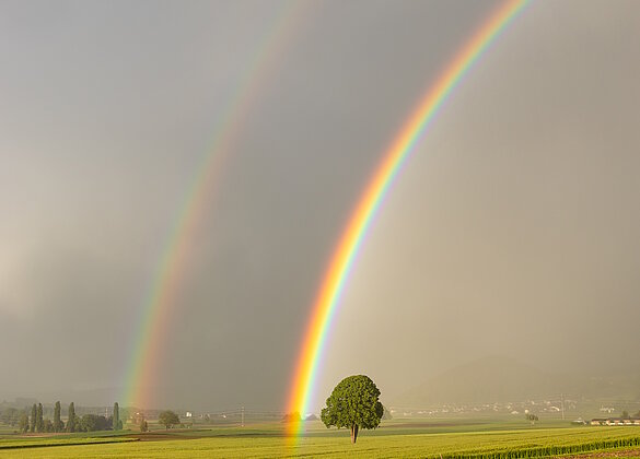 Ein leuchtender Regenbogen ...