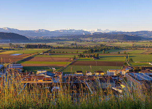 Phantastischer Ausblick vom Wauwilerberg