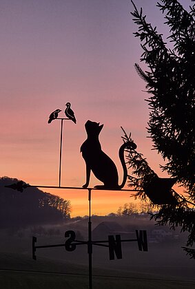 Ein neuer Tag beginnt...