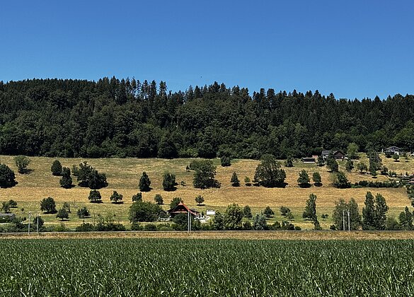 Trockene Wiesen am Santenberg