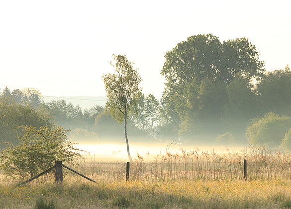 Unterwegs im Moos
