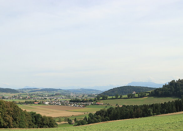 Die Felder werden langsam wieder grün