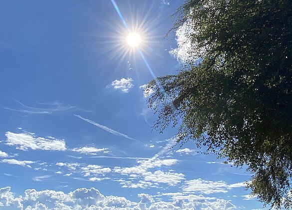 sonnige Aussichten