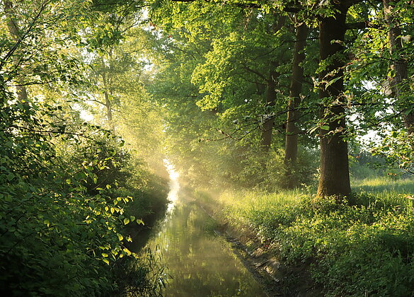 Frühlingsidylle am Ronkanal