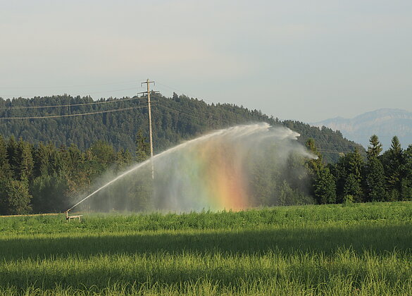 Regenbogen beim Bewässern