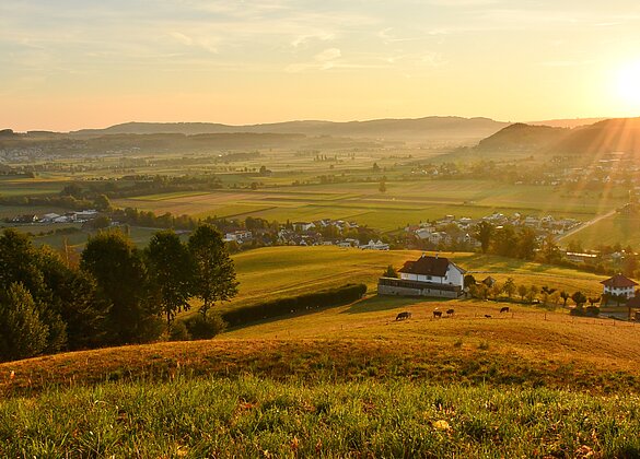 Wauwilermoos in Morgenstimmung