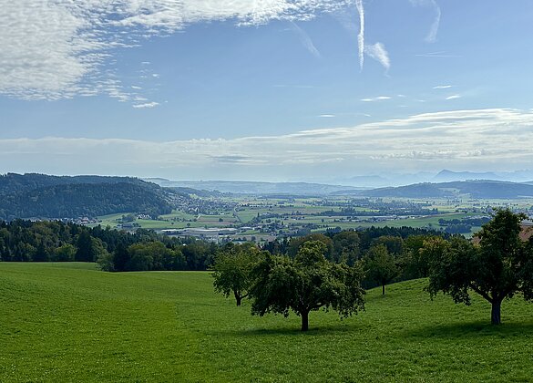 Vom Esch (Ebersecken) in Richtung Wauwilermoos 