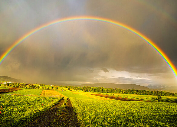 Ein Regenbogen über dem Wauwilermoos!