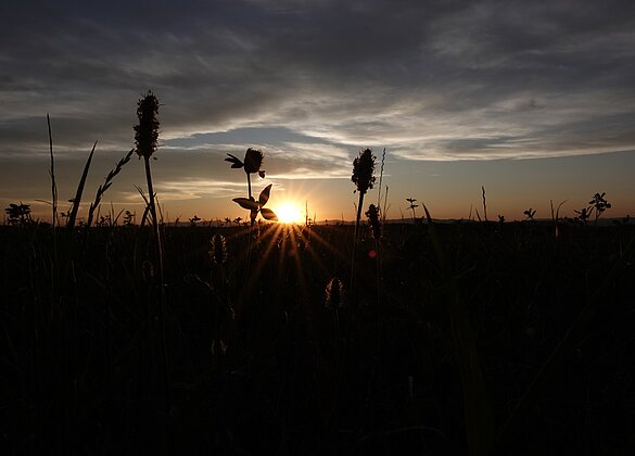 Sonnenuntergang
