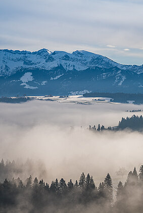 Der Nebel kommt und geht auf dem Menzberg!