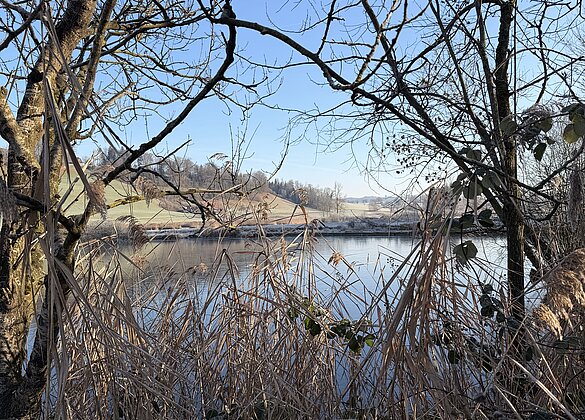 Traumhafter Morgenspaziergang 