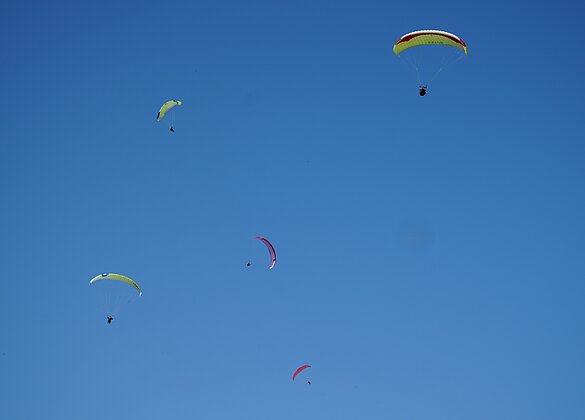 Hochbetrieb am Gleitschirmhimmel