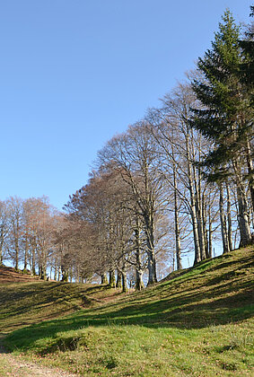 125209_125211.jpeg