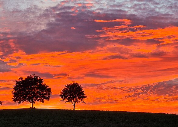 Welch farbenprächtiger Sonnenuntergang!