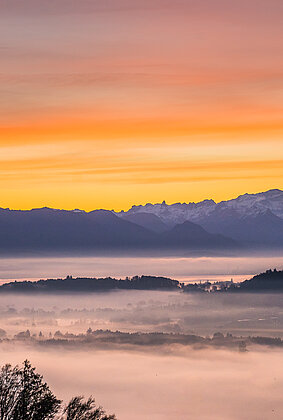 Morgenstimmung über dem Nebel!