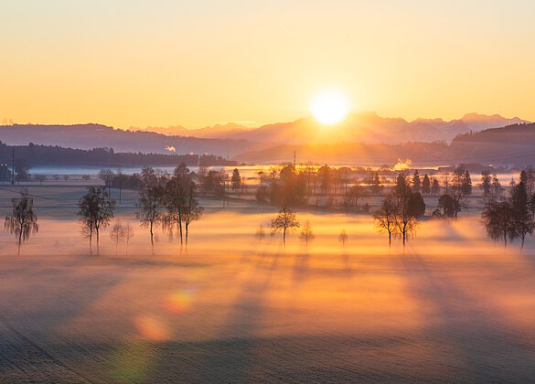 Sonnenaufgang über dem Wauwilermoos