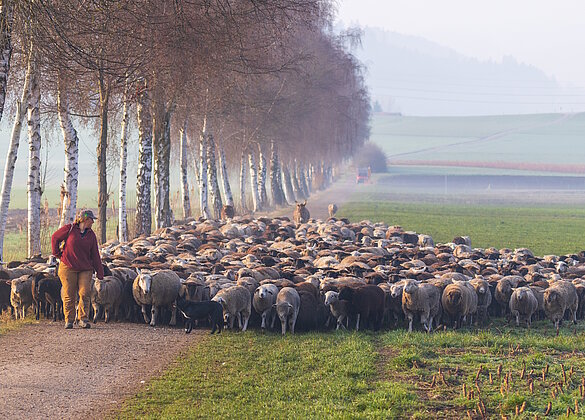 Landschaftspfleger vom Feinsten
