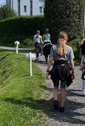 154179_154184.jpeg