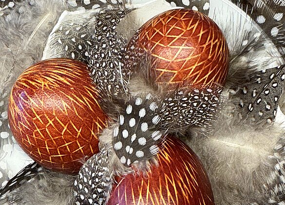 Zwiebelschalen gefärbte Eier im Wachtelfedernestli