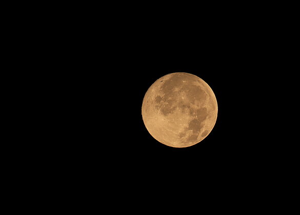Der Vollmond erhellt den Morgen