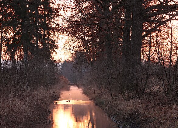 Morgenstimmung zum Monatsende