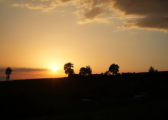 Sonnenuntergang auf dem Bodenberg in Zell