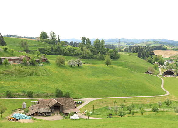 Landwirtschaftliches geprägtes Hinterland