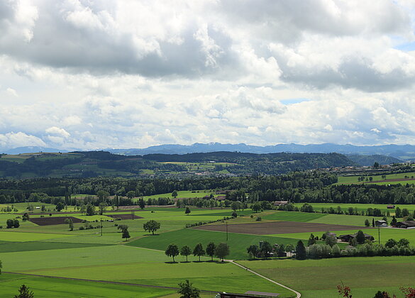 Blick übers Surental