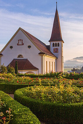 Der Rosengarten bei der Kirche St. Martin im Morgenlicht