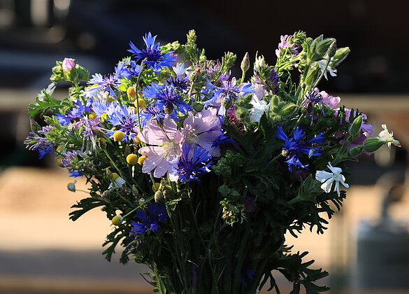 Ein Sträusschen mit Wiesenblumen