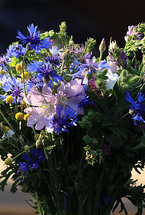 Ein Sträusschen mit Wiesenblumen