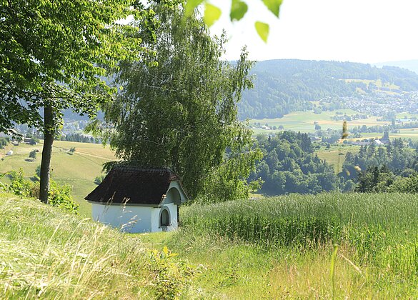 Die Hölzigkapelle umrahmt von hohen Gräsern