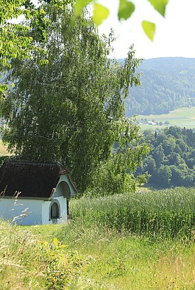 Die Hölzigkapelle umrahmt von hohen Gräsern