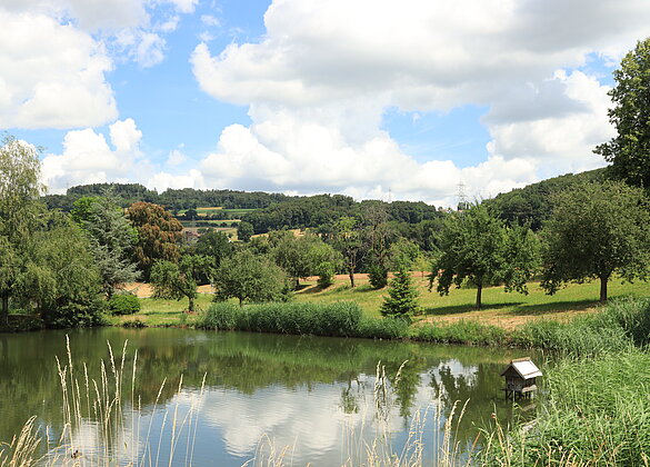 Sommeridylle am Weiher