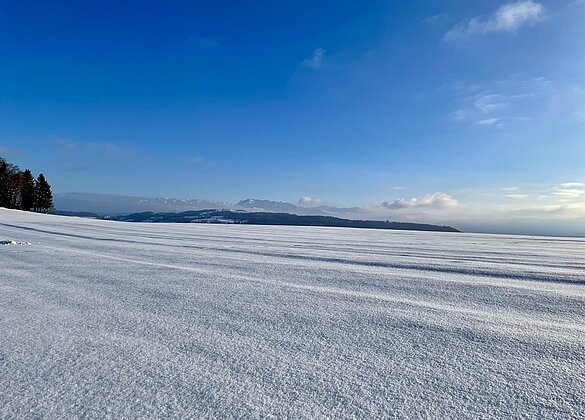 Winterwonderland Santenberg