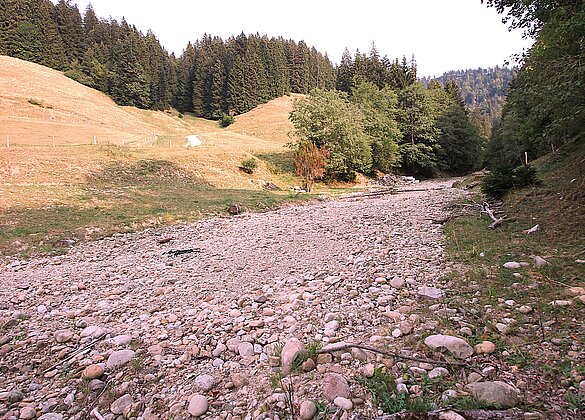 Staubtrocken und weiteres Warten auf den erhofften Regen. 