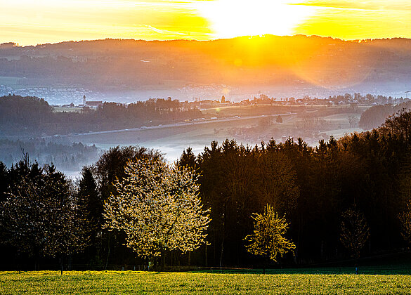 Morgenstimmung auf der Wauwilerhöhe!