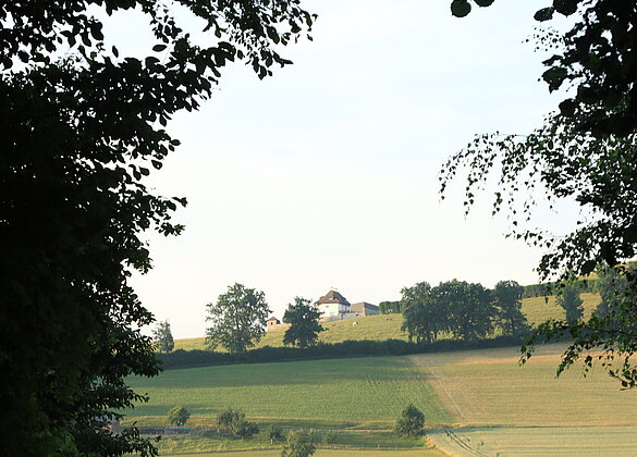 Blick vom Dunkeln ins Helle