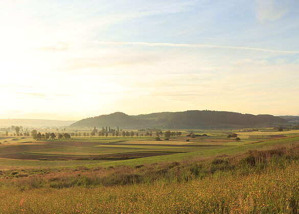 Der Tag an Muttertag beginnt sonnig